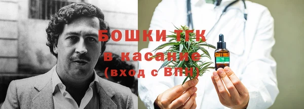 соль ск Кулебаки