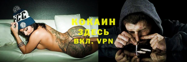 соль ск Кулебаки