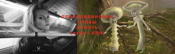 соль ск Кулебаки