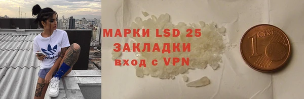 соль ск Кулебаки