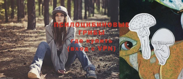 mdma Кукмор