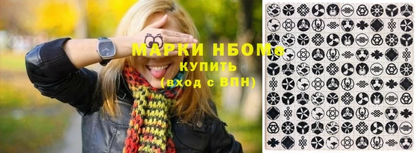 соль ск Кулебаки