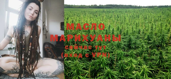 соль ск Кулебаки