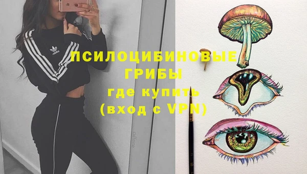 соль ск Кулебаки