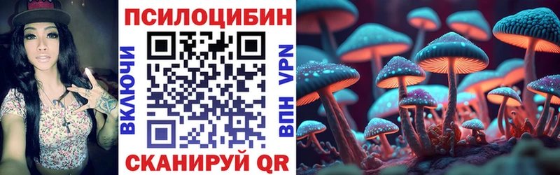 kraken вход  Курск  Псилоцибиновые грибы мухоморы 